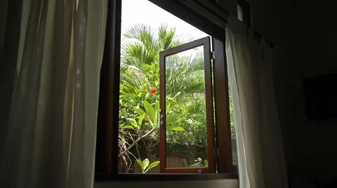 Tropical garden through the window. Curtains and plants swinging in strong wind. Stock Footage 50133748