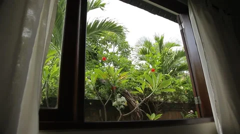 Tropical garden through the window. Curtains and plants swinging in strong wind. Stock Footage 50134425