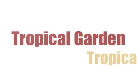 Tropical Garden Wordcloud Animated On White Background Stock Footage 99622277