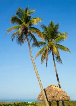 Tropical Getaway Stock Photos