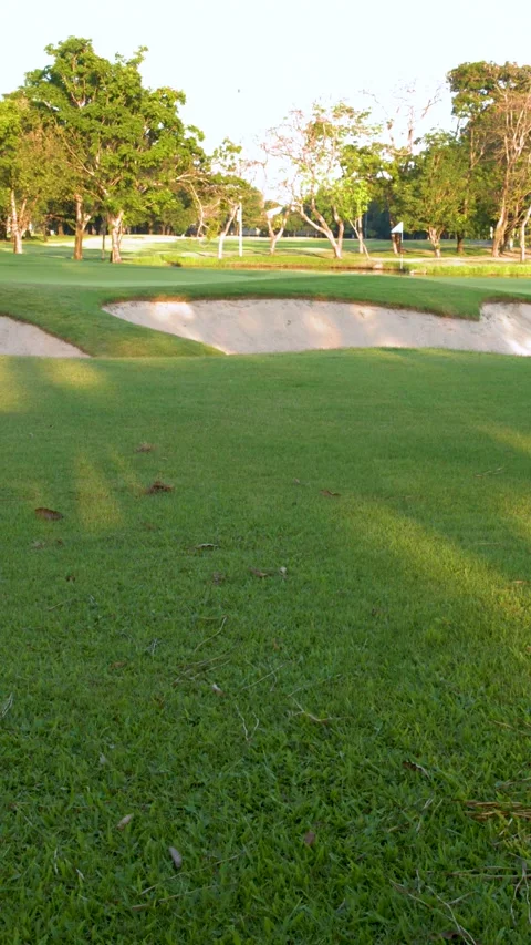 Tropical Golf Course Landscape with Sand Trap and Green Fairway Stock Footage 339513553