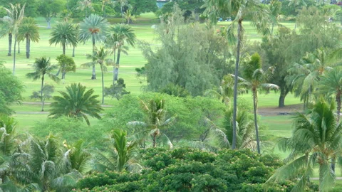 Tropical golf field in 4k Stock Footage 139010367