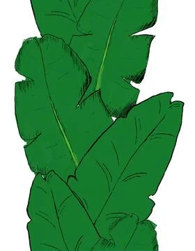 Tropical graphic vector pattern vertical border background illustration. Leaf Stock Illustration