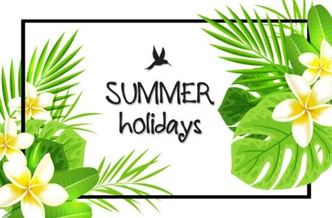 Tropical green frame Illustrazione stock