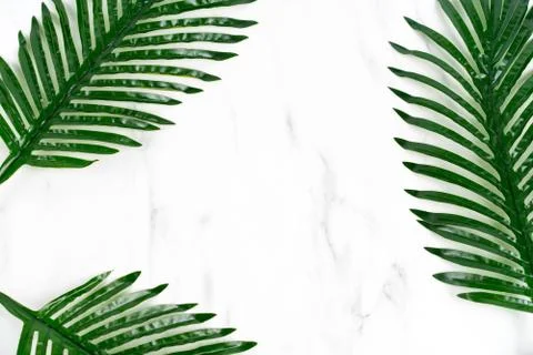 Tropical green leaf composed as a frame on white marble stone background with Foto stock