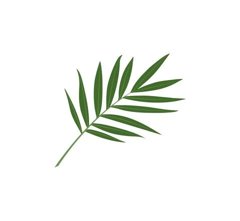 Tropical green leaf flat vector icon illustration. jungle foliage Stock Illustration
