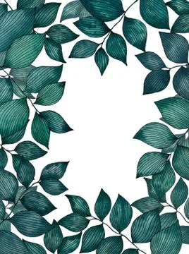 Tropical green leaf frame background Stock Illustration
