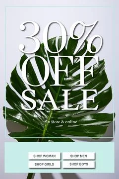 Tropical green leaf white Stock Photos
