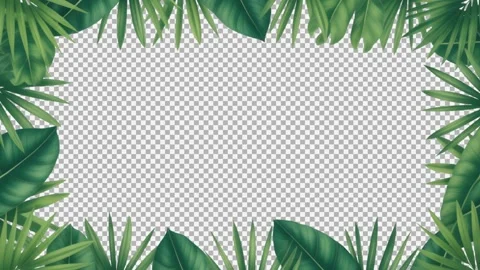 Tropical green palm leaf frame border isolated on transparent background fo.. Video stock 333782840