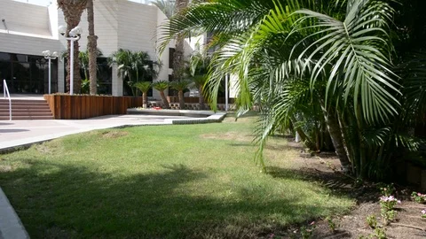 Tropical green tree and beach on the path in hotel 動画素材 96855347