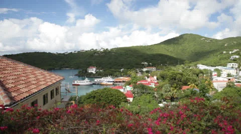 Tropical harbor 100% Stock Footage 23838563