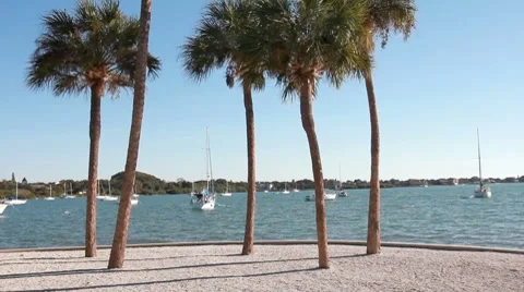 A Tropical Harbor Stock Footage 8686571