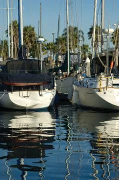 Tropical harbor Fotos Stock