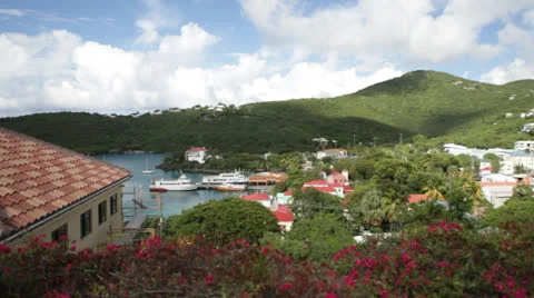 Tropical harbor timelapse 800% Video stock 24389837