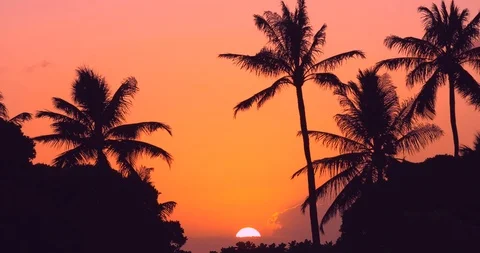Tropical Hawaii sunset Stock Footage