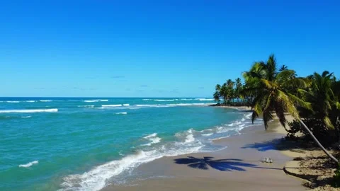 Tropical Heaven on the beach Stock Footage 182597466