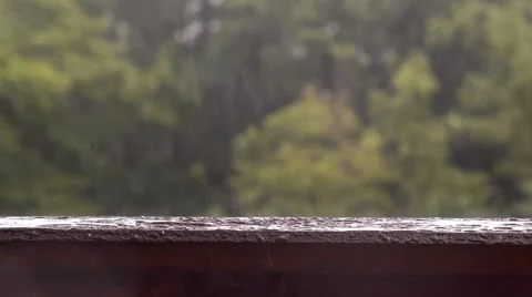Tropical heavy rain in forest background. It contains the original sound Stock Footage 66256503
