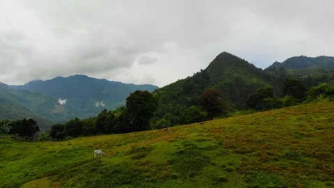 Tropical Highlands Stock Footage 194755058