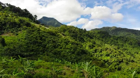 Tropical Highlands Stock Footage 194806485