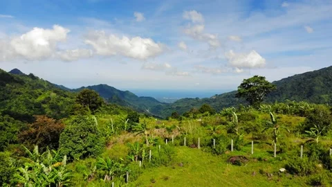 Tropical Highlands Stock Footage 194882952