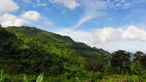 Tropical Highlands 스톡 동영상 194885891