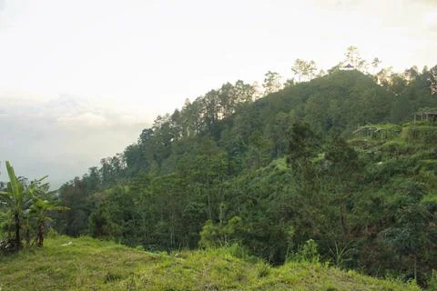 Tropical Hill Side View Stock Photos