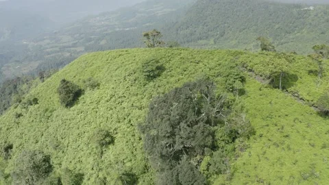 Tropical hills West java Indonesia Video stock 205556148