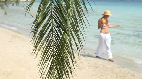 Tropical holidays Stock Footage 8953308