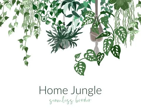 Tropical home plants in pots, seamless border Stock Illustration