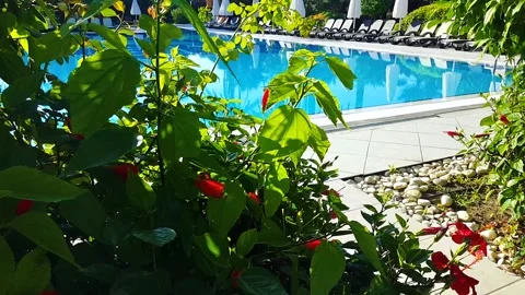 Tropical house yard Stock Footage 86207327