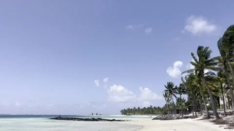 Tropical Idyll Stock Footage 289482015