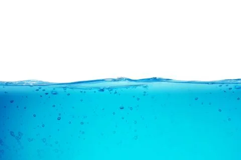 Tropical Stock Illustration