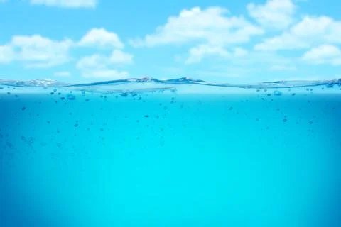 Tropical Stock Illustration