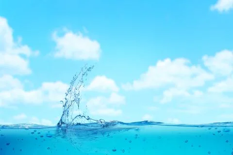 Tropical Stock Illustration