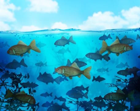 Tropical Stock Illustration