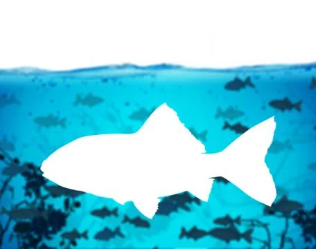 Tropical Stock Illustration