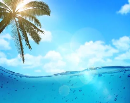 Tropical Stock Illustration