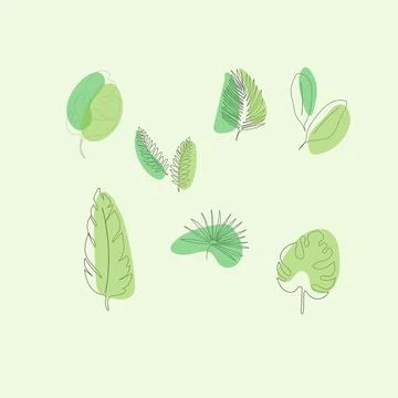 Tropical Stock Illustration