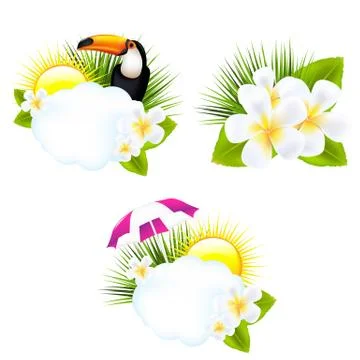 Tropical illustrations Stock Illustration