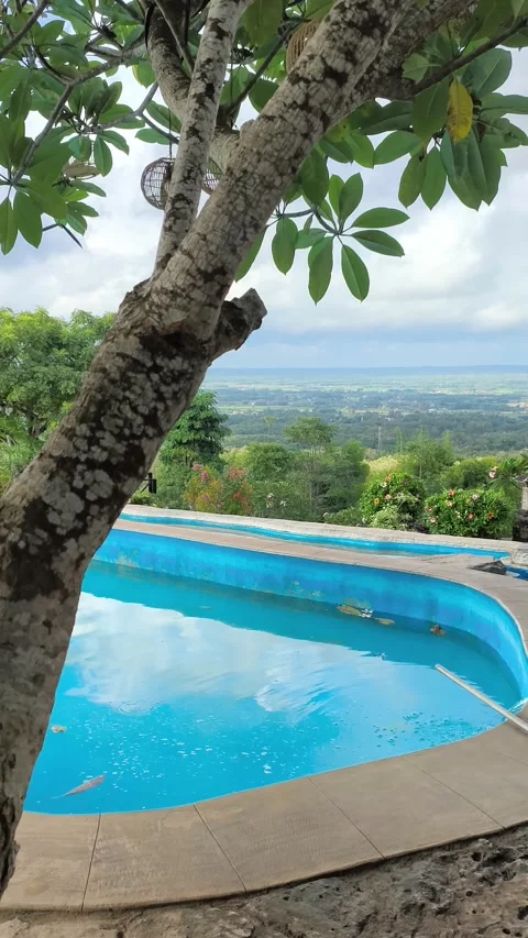 Tropical Infinity Pool with Lush Valley View and Frangipani Tree Stock Footage 340215617
