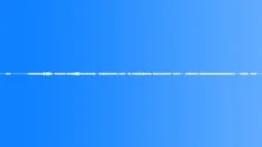 Tropical InsectsSound Effect