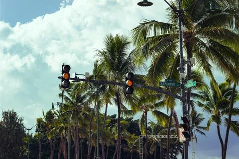 Tropical intersection under palm trees in Hawaii, Kapahulu and Kalakaua streets Stock Photos