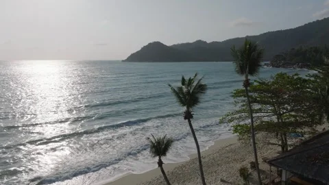 Tropical Intro with Palm Trees and Turquoise Sea  Koh Phangan Stock Footage 333912280