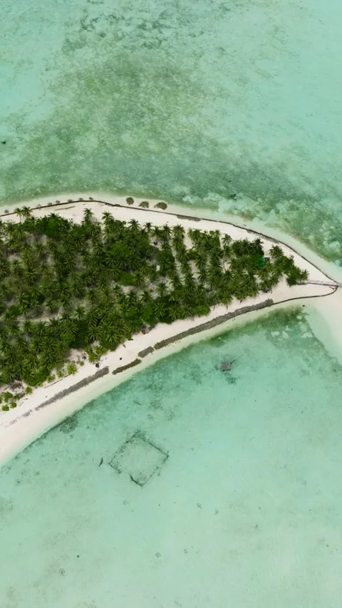 Tropical island with a beach. Stock Footage 290159605
