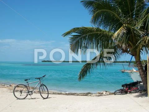 Tropical Island Bicycle by the Beach Stock Photos