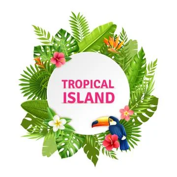 Tropical Island Flora And Toucan Frame Stock Illustration