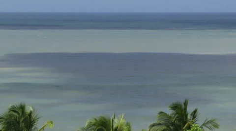 Tropical Island Видео 33809341