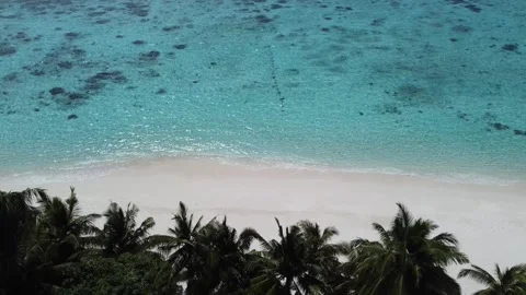 Tropical island Stock Footage 164399881