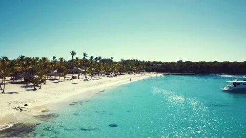 Tropical island forest Stock Footage 99976587