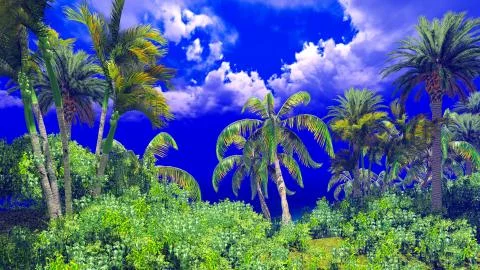Tropical island Stock Illustration